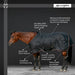 1200D Lightweight 80g Horse Winter Turnout Blanket - Waterproof & Breathable Kensington Protective Products