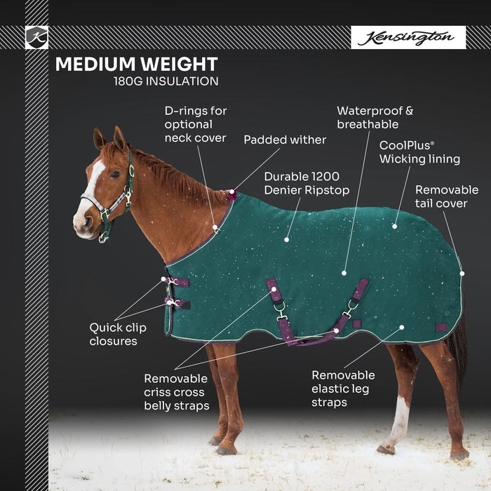 Bundle: Mid-Weight 180g Winter Horse Turnout Blanket, Neck Warmer & Blanket Storage Bag Kensington Protective Products