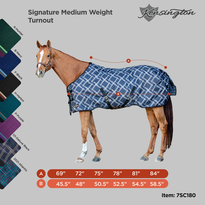 horse winter blanket