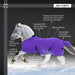 1200D Midweight 180g Pony Winter Turnout Blanket - Waterproof & Breathable Kensington Protective Products