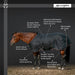 1200D Heavyweight 300g Horse Winter Turnout Blanket - Waterproof & Breathable Kensington Protective Products