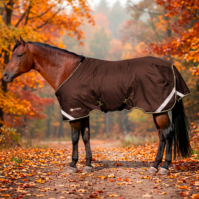 KPP-LATEST-SCR-2026-10|7SCR080-HORSE|G|44d84429cd8fb08a4978