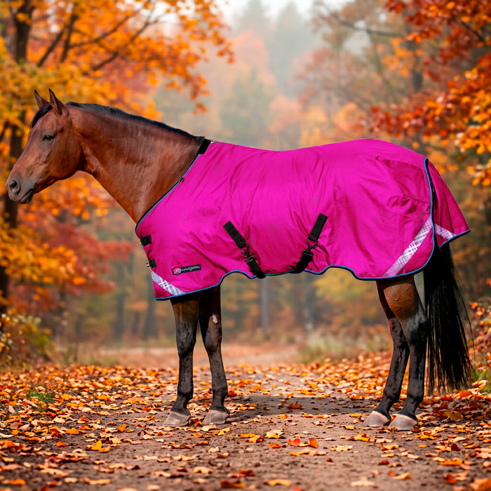 KPP-LATEST-SCR-2026-10|7SCR080-HORSE|G|2bf3a4ec14f0e47dd3bd