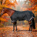 KPP-LATEST-SCR-2026-10|7SCR080-HORSE|G|02a1364e4b628aa390a9