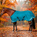 KPP-LATEST-SCR-2026-10|7SCR080-HORSE|G|d31617fb2b46629e5f0c