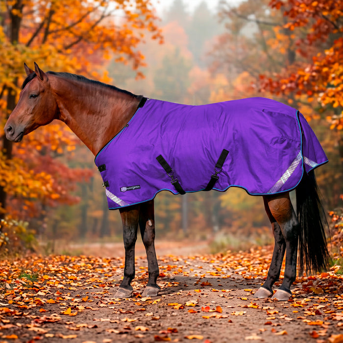 KPP-LATEST-SCR-2026-10|7SCR080-HORSE|G|f84db981b62c97d7eaea