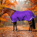 KPP-LATEST-SCR-2026-10|7SCR080-HORSE|G|f84db981b62c97d7eaea