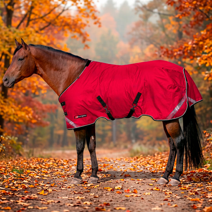 KPP-LATEST-SCR-2026-10|7SCR080-HORSE|G|3b7223099820a35355c6