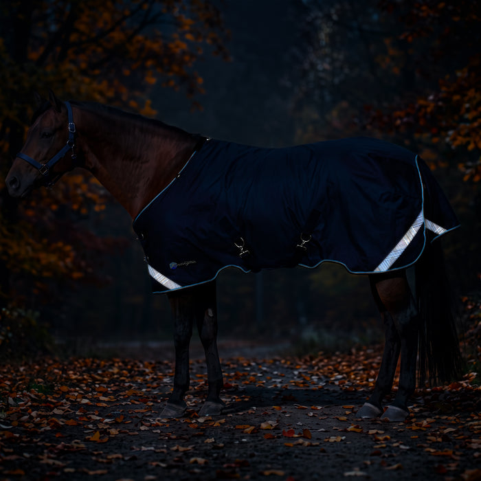KPP-LATEST-SCR-2026-10|7SCR080-HORSE|K|a0260c5b25c4e3f32e1a