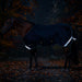 KPP-LATEST-SCR-2026-10|7SCR080-HORSE|K|a0260c5b25c4e3f32e1a