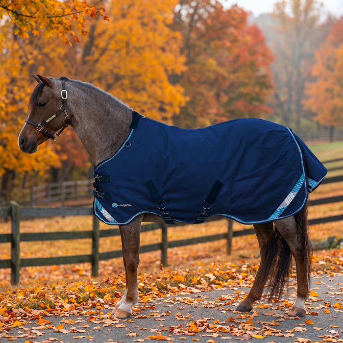 KPP-LATEST-SCR-2026-10|7SCR080-PONY|G|46f749aaaffa124a2985