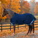 KPP-LATEST-SCR-2026-10|7SCR080-PONY|G|46f749aaaffa124a2985