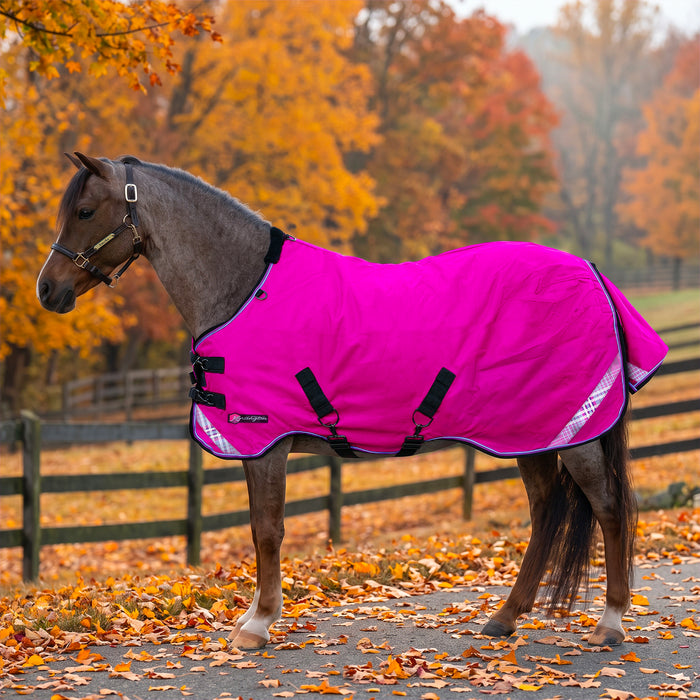 KPP-LATEST-SCR-2026-10|7SCR080-PONY|G|65f6524743118298c82a