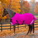 KPP-LATEST-SCR-2026-10|7SCR080-PONY|G|65f6524743118298c82a