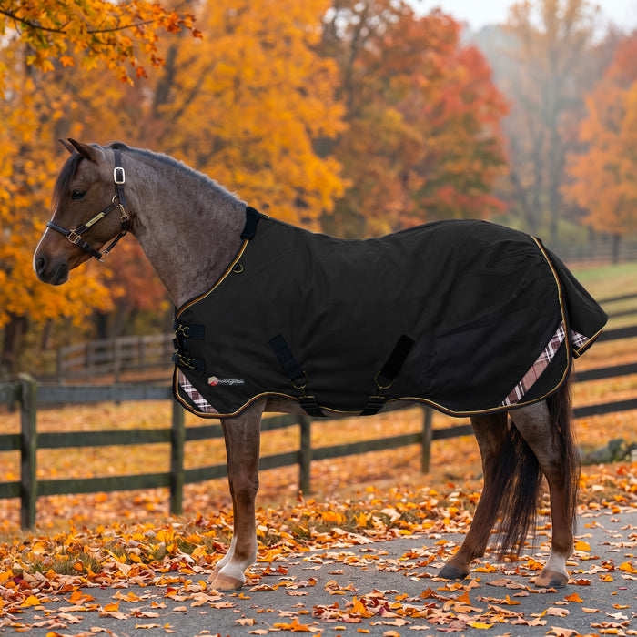 KPP-LATEST-SCR-2026-10|7SCR080-PONY|G|8d67b71d2f8f2b54a8f9