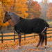 KPP-LATEST-SCR-2026-10|7SCR080-PONY|G|8d67b71d2f8f2b54a8f9