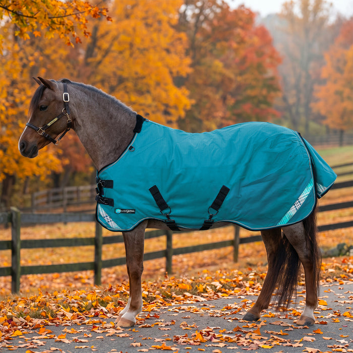 KPP-LATEST-SCR-2026-10|7SCR080-PONY|G|db62a0333a28ab0f6694
