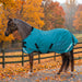 KPP-LATEST-SCR-2026-10|7SCR080-PONY|G|db62a0333a28ab0f6694