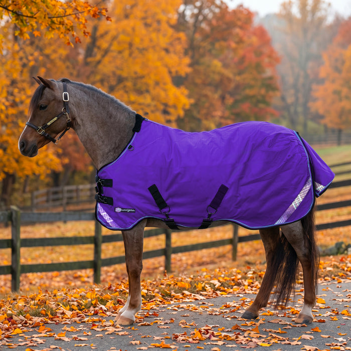 KPP-LATEST-SCR-2026-10|7SCR080-PONY|G|30aa06f5e411d1a9c062
