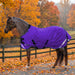 KPP-LATEST-SCR-2026-10|7SCR080-PONY|G|30aa06f5e411d1a9c062
