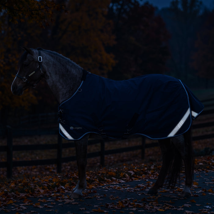 KPP-LATEST-SCR-2026-10|7SCR080-PONY|K|b7230e4d07fd2be86835