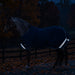 KPP-LATEST-SCR-2026-10|7SCR080-PONY|K|b7230e4d07fd2be86835