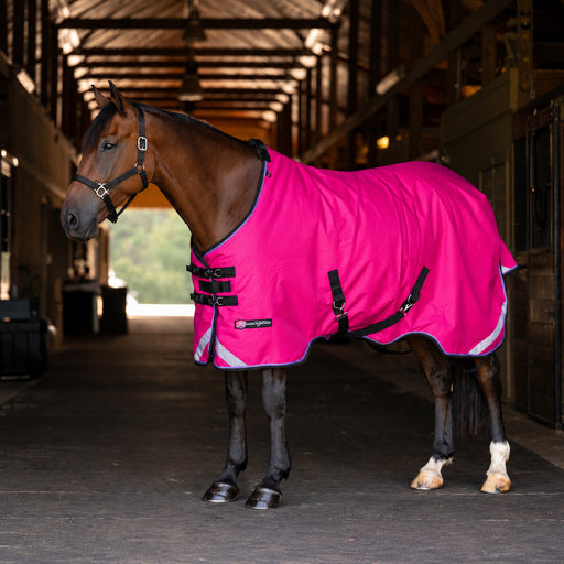 KPP-LATEST-SCR-2026-10|7SCR180-HORSE|G|e74bb38fd13097563454