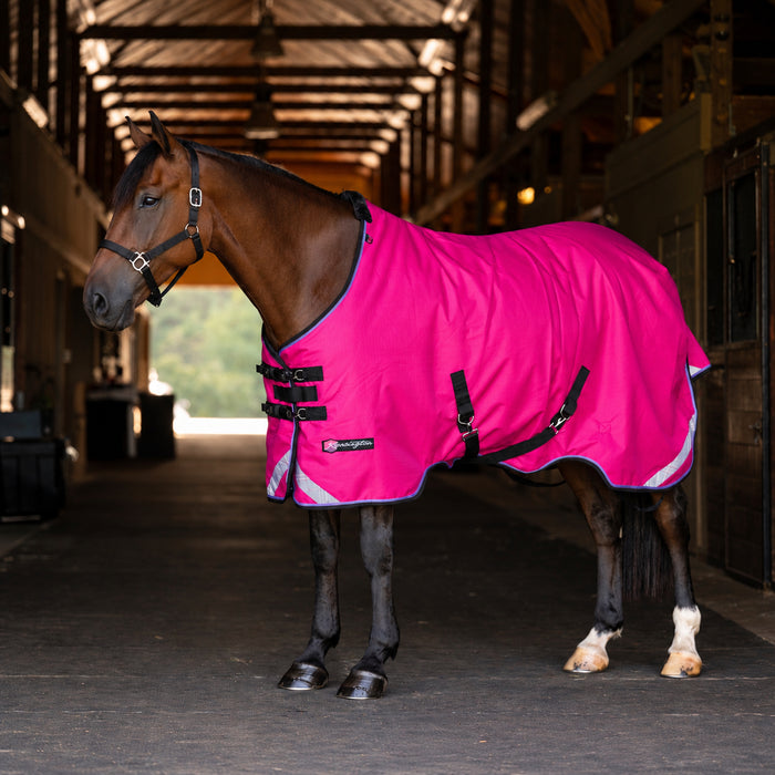 KPP-LATEST-SCR-2026-10|7SCR180-HORSE|G|e74bb38fd13097563454