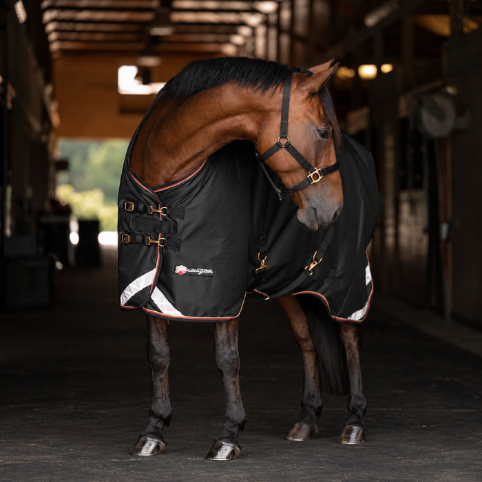 KPP-LATEST-SCR-2026-10|7SCR180-HORSE|I|8fb0de221c0cfa15c13c