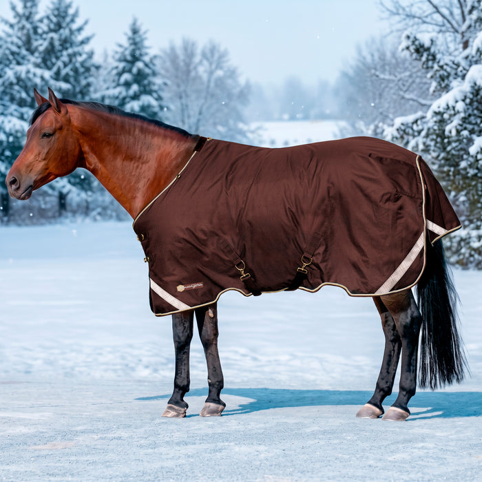 KPP-LATEST-SCR-2026-10|7SCR180-HORSE|H|b6bea4afd02443e63473