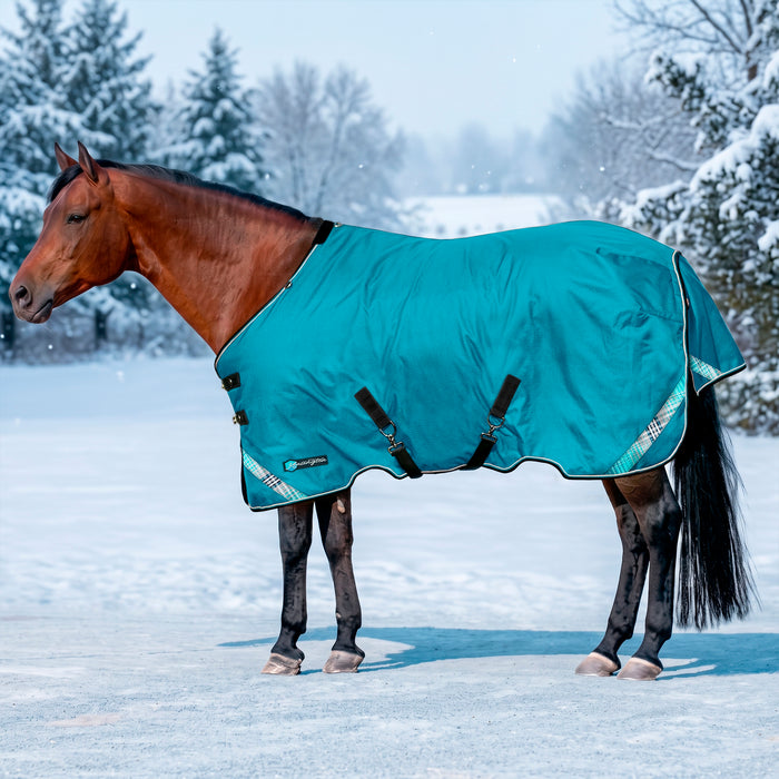 KPP-LATEST-SCR-2026-10|7SCR180-HORSE|H|843e0f8116cef4aa28fd