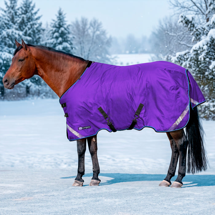 KPP-LATEST-SCR-2026-10|7SCR180-HORSE|H|5e9f60ae7845a3b8effc