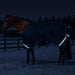 KPP-LATEST-SCR-2026-10|7SCR180-HORSE|K|8c31ed5944011951896e