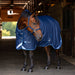 KPP-LATEST-SCR-2026-10|7SCR300-HORSE|H|cd055e0b5a41c201a78d