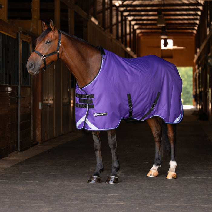 KPP-LATEST-SCR-2026-10|7SCR300-HORSE|H|a9ecf704ba9b10f66ba9