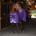 KPP-LATEST-SCR-2026-10|7SCR300-HORSE|I|a9487e19e70a49101871