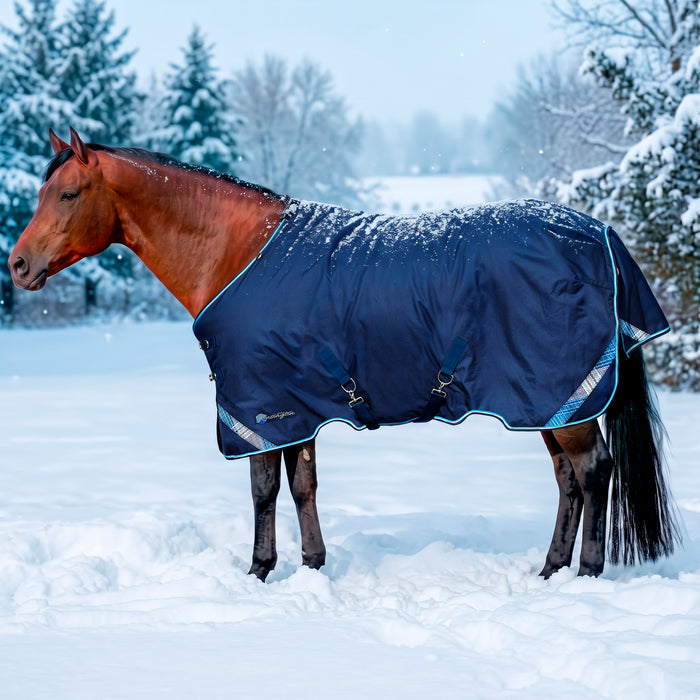 KPP-LATEST-SCR-2026-10|7SCR300-HORSE|G|d7677b5a29f0ea00018c