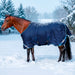 KPP-LATEST-SCR-2026-10|7SCR300-HORSE|G|d7677b5a29f0ea00018c