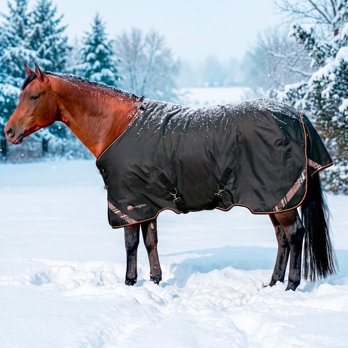 KPP-LATEST-SCR-2026-10|7SCR300-HORSE|G|18b6ecea452d537de5e8