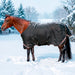 KPP-LATEST-SCR-2026-10|7SCR300-HORSE|G|18b6ecea452d537de5e8