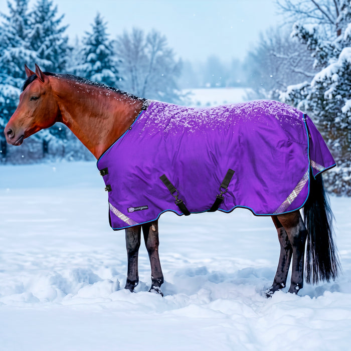 KPP-LATEST-SCR-2026-10|7SCR300-HORSE|G|496f210e536f9376a2ca