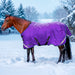 KPP-LATEST-SCR-2026-10|7SCR300-HORSE|G|496f210e536f9376a2ca