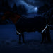 KPP-LATEST-SCR-2026-10|7SCR300-HORSE|K|a27f7f80d8f48ba44aaa