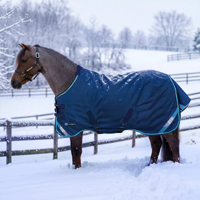 KPP-LATEST-SCR-2026-10|7SCR300-PONY|G|163b0d438091225f42ab