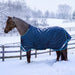 KPP-LATEST-SCR-2026-10|7SCR300-PONY|G|163b0d438091225f42ab