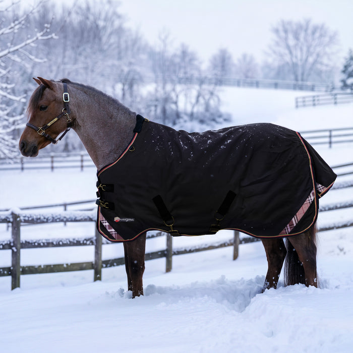 KPP-LATEST-SCR-2026-10|7SCR300-PONY|G|69d2c65e3d4baed924b9