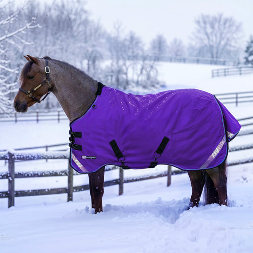 KPP-LATEST-SCR-2026-10|7SCR300-PONY|G|478a39c08a4d1318cef7