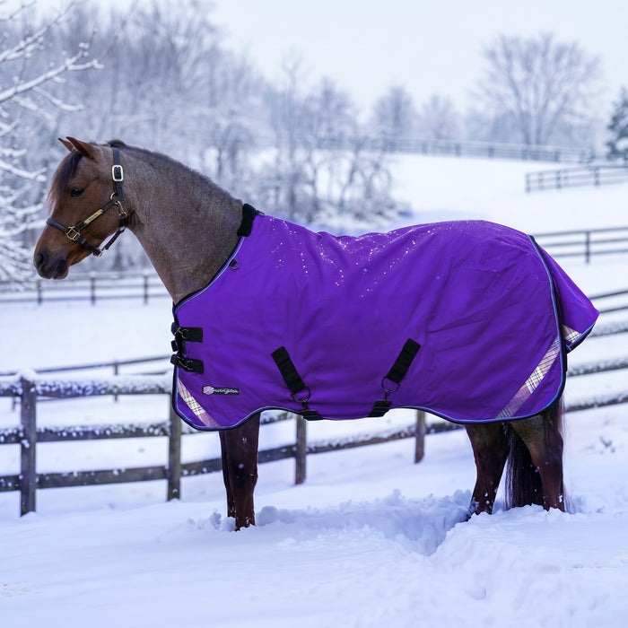 KPP-LATEST-SCR-2026-10|7SCR300-PONY|G|478a39c08a4d1318cef7