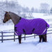 KPP-LATEST-SCR-2026-10|7SCR300-PONY|G|478a39c08a4d1318cef7