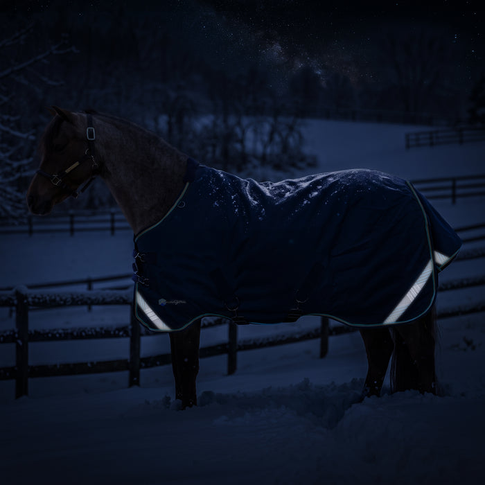 KPP-LATEST-SCR-2026-10|7SCR300-PONY|K|162905b0bfc7f6ce1068